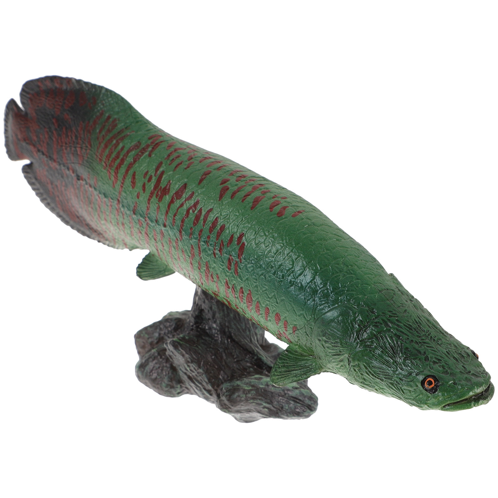 Kids Education Design - Creative Marine Fish Decor Kids Educational