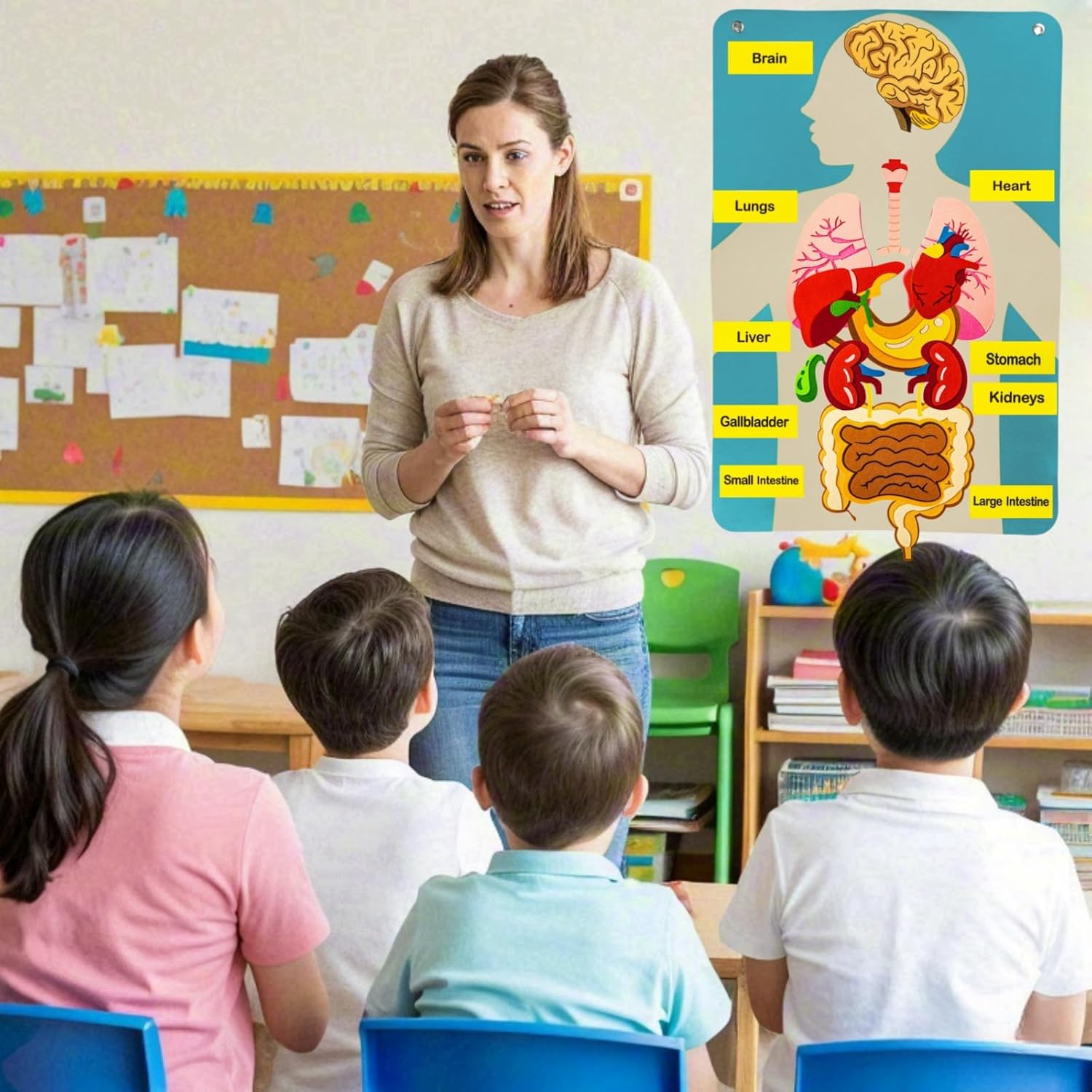 Human Body Parts Felt Board St - Kids Education Story ulasan dan harga